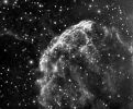 Filename=ic443.jpg
Filesize=65KB
Dimensions=380x314
Date added=Sep 11, 2006 ic443.jpg