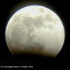 Filename=lunare1_ea.jpg
Filesize=22KB
Dimensions=350x350
Date added=Sep 11, 2006 lunare1_ea.jpg