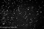 Filename=m046_let.jpg
Filesize=15KB
Dimensions=350x233
Date added=Sep 11, 2006 m046_let.jpg