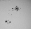 Filename=ar10486-488_wk.jpg
Filesize=30KB
Dimensions=482x454
Date added=Sep 14, 2006 ar10486-488_wk.jpg