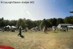 Filename=csp012_ea.jpg
Filesize=9KB
Dimensions=350x233
Date added=Sep 13, 2006 csp012_ea.jpg