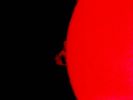 Filename=pst1_wk.jpg
Filesize=8KB
Dimensions=482x361
Date added=Sep 13, 2006 pst1_wk.jpg