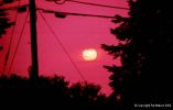 Filename=tran2_pm.jpg
Filesize=35KB
Dimensions=640x407
Date added=Sep 14, 2006 tran2_pm.jpg