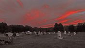 Filename=web-scope_field_morning.jpg
Filesize=122KB
Dimensions=504x286
Date added=Sep 13, 2010 web-scope_field_morning.jpg