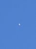 Filename=web-venus_daytime.jpg
Filesize=109KB
Dimensions=288x385
Date added=Sep 13, 2010 web-venus_daytime.jpg