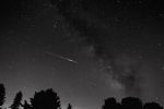 Filename=webperseids.jpg
Filesize=139KB
Dimensions=576x384
Date added=Aug 14, 2007 webperseids.jpg