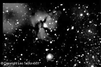 Photos taken by Leo Taylor
