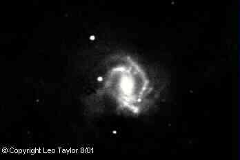 Photos taken by Leo Taylor
