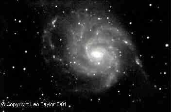 Photos taken by Leo Taylor
