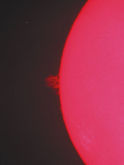Solar image by Walt Kupson
Prominence near AR 792, eastern limb
2005 July 29
Coronado PST, 12mm kellner
Canon 3.2 megapixel camera
ISO 100, 1/125th second
 

