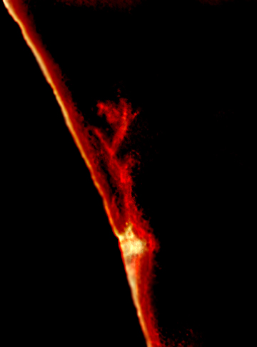 Solar images by Alan Chaniewski
An Irregular Arch Prominance - May 2006



