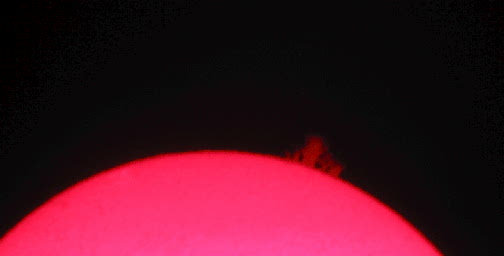 Solar image by Walt Kupson
Sun Prominence in Hydrogen Alpha taken by Walter Kupson
Two photos of the same huge ejection take a day apart - this is June 2
Coronado PST, 12 mm kellner eyepiece, Canon 3.2 mp camera

