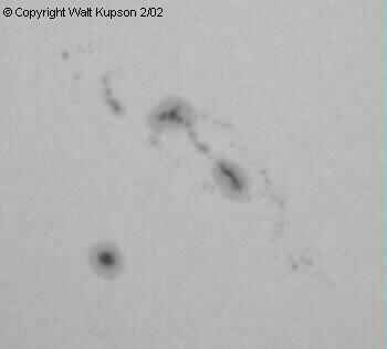 Photo by Walt Kupson
Sunspots taken by Walter Kupson
AR 9824 and 9825 taken on 2/14/02 1830 UT.
Celestron 4.5" reflector at 46x,
Canon S30 digital camera at 1/640 second.

