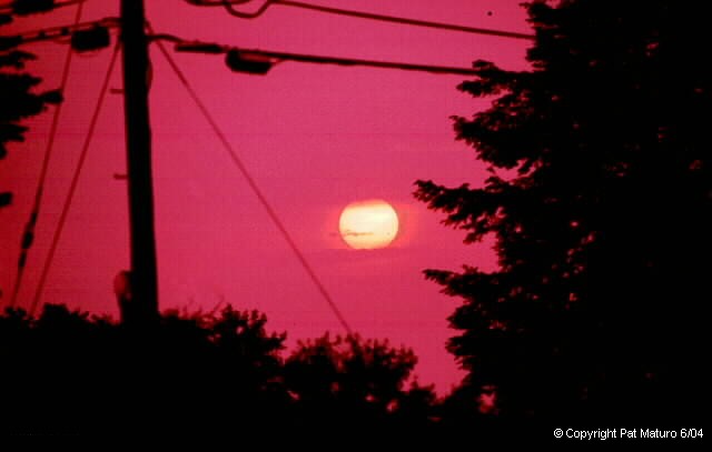  Venus Transit 6/8/2004 by Pat Maturo
The Sun peeked through the clouds shortly after sunrise.
The clouds and pollution allowed naked eye viewing of Venus (5:30 O'Clock)
This photo was taken without a filter. Picture was taken with a Nikon
N90S camera, 180mm Nikkor lens, handheld on Kodak Elite Chrome 200 slide film.


