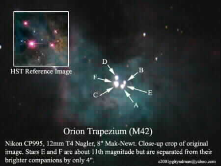 Trapezium in Orion Nebula by Paul Hyndman
