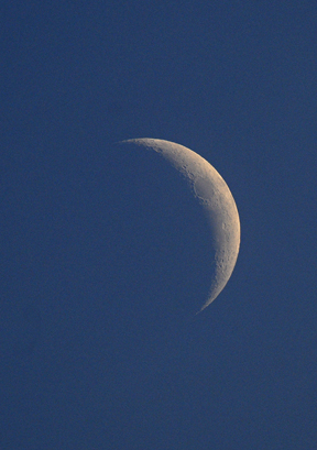 Photo by Alan Chaniewski
Daytime photo of the moon Saturday afternoon.
