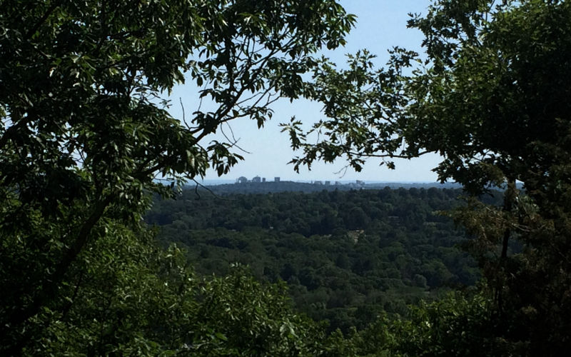 Photo By Mike Zarick
View of New Haven through trees
